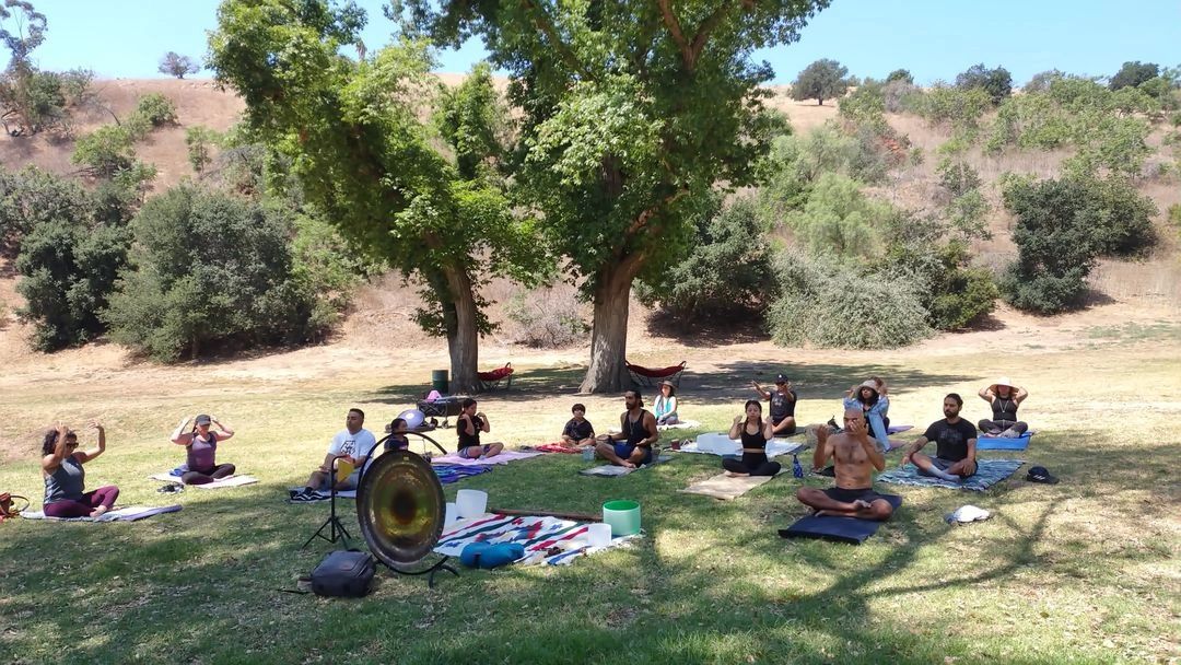 Outdoor sound bath circle with gong in a park setting