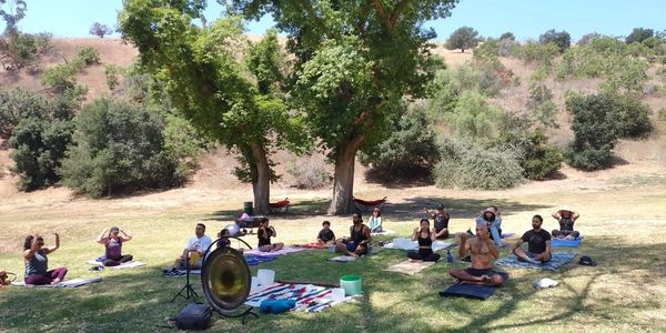 Outdoor community gathering