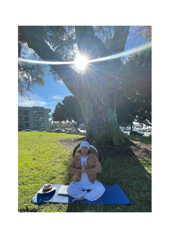 Person meditating cross-legged under a tree in a sunny park